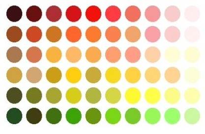 colors for warm skin tones colors for warm skin tones
