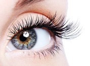 Anatomía y funcionamiento del ojo
El proceso de visión es complejo; Nuestros ojos se componen de más de 2 millones de piezas.
El ojo humano es cono